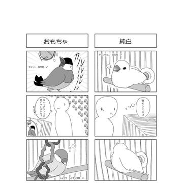 文鳥