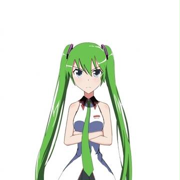 IS ミク