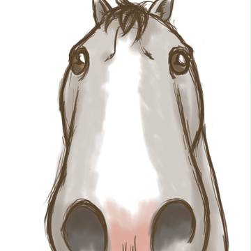 Latitude10試し描き