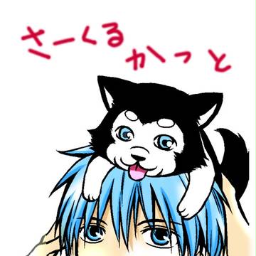 カラーにしてみた。