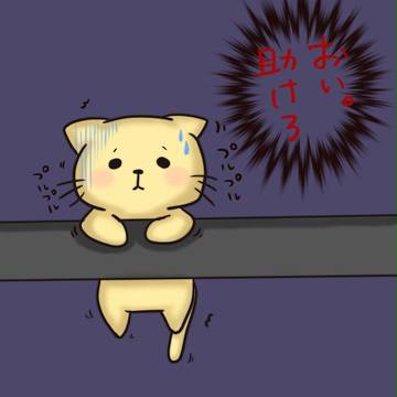 ねこ