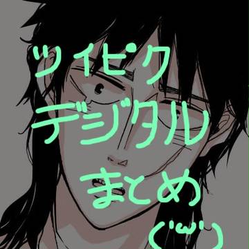 【fkmt】ツイピクデジタルまとめ