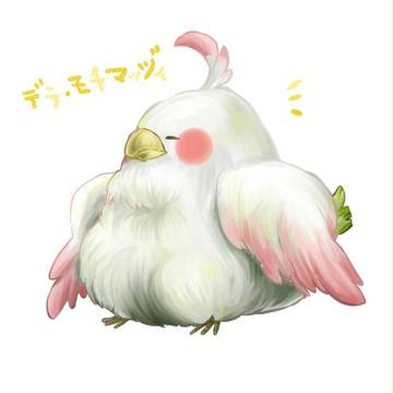 でら・もちまっづぃ