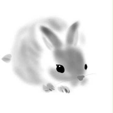 rabbit