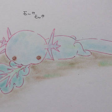 ウパー