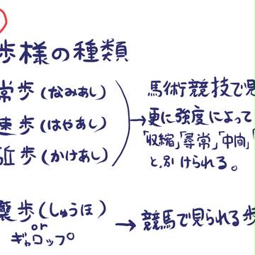 馬の歩様について
