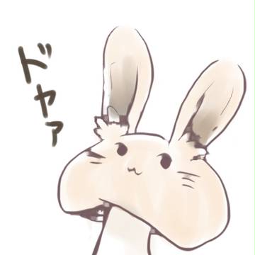 うさぎのこ