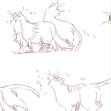 猫好きとして