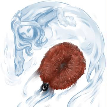 水の精霊皇