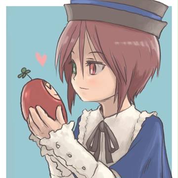 何かのおもちゃと蒼星石
