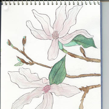 手書きでピンクのお花♪