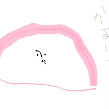 かまぼこさん。