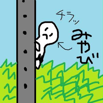 みやびちゃん