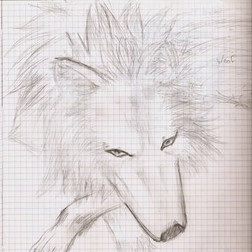 wolfy