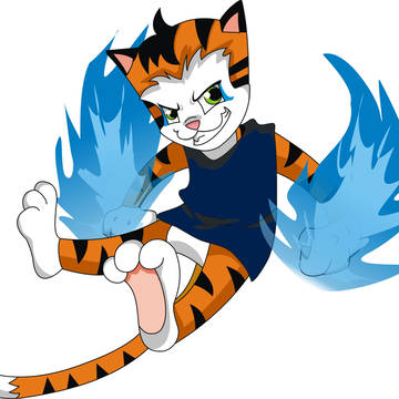 Tigre Driger