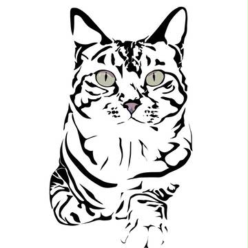 猫トレース２