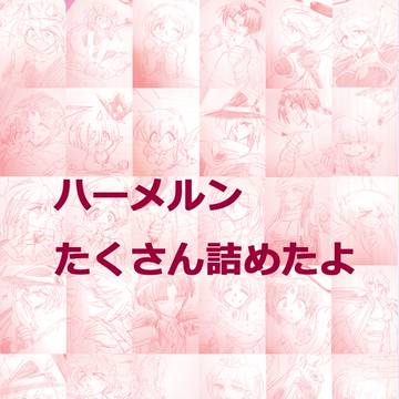 ハーメルン詰め