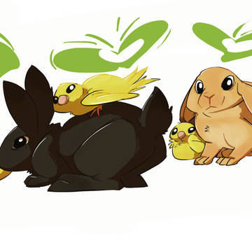 Bunnies and Chicks