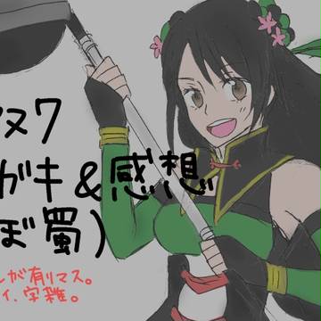 無双7ラクガキ＆感想