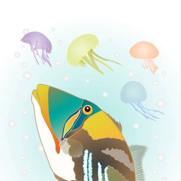 Triggerfish