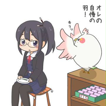 自慢の羽