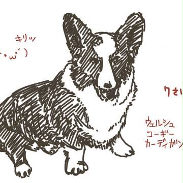 彼はディープキス派
