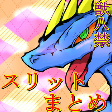 【獣八禁】スリットまとめ