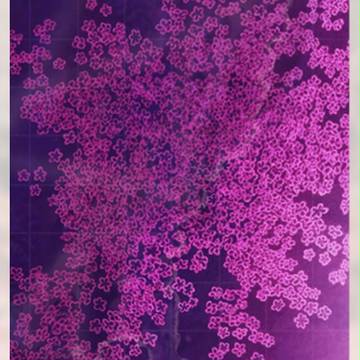[短編]　せめて花をと思ゐ　[イラスト]