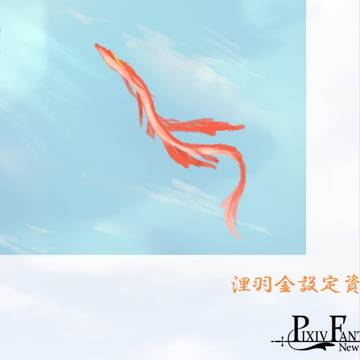 【PFNW】浬羽金【設定資料】