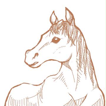 馬