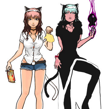 white cat & black cat