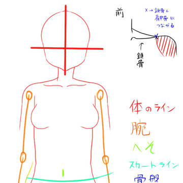 骨盤で分かる目印
