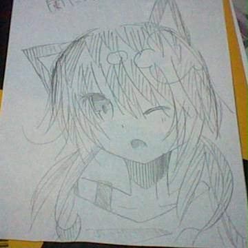らんにゃん…！