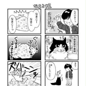 なまこ姫