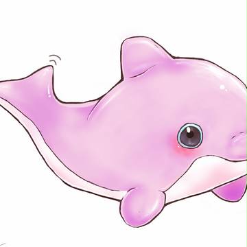 baby dolphin