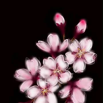桜