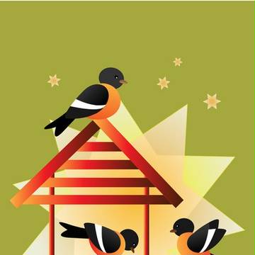 Birds