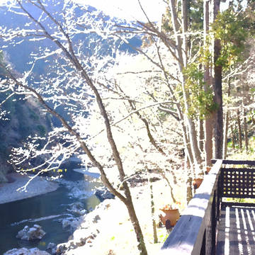 テラスと川