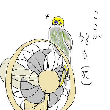 うちの子後輩(笑)
