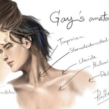 GAY'S ANATOMY