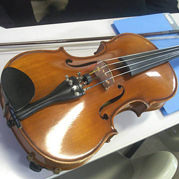 Viola