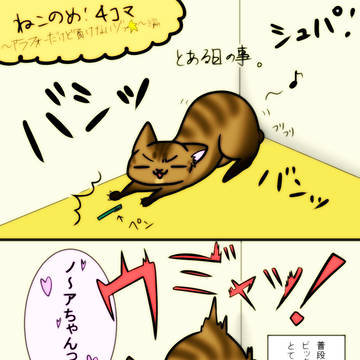 アラフォー母ちゃん猫！
