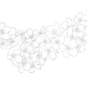 桜トレース