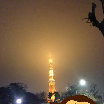 お空が赤いワン＼(◎o◎)／！