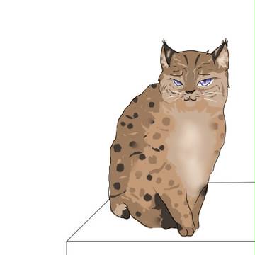 山猫一枚！