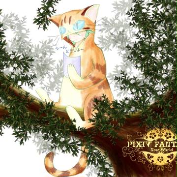 【PFNW】猫妖精は行動方針が決まらない