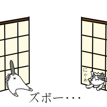 ふすまに猫が飛び込んじゃった話