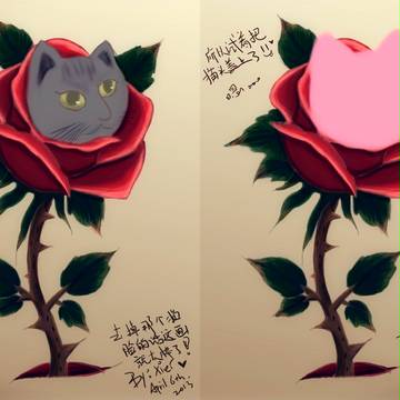 CAT'N Rose