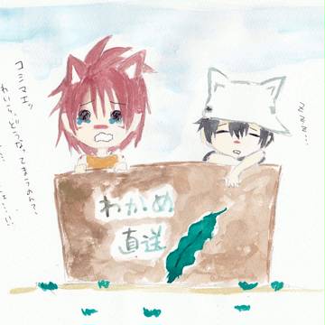捨てられた子猫が二匹ほどいます。