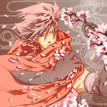 【暗カカ】桜